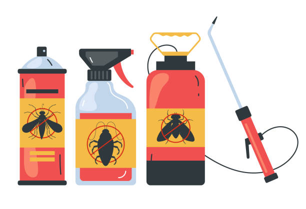 Wasp Removal Services